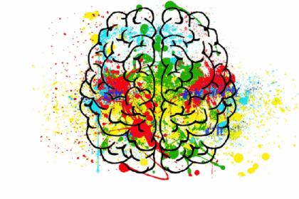 neuroeducación en las aulas