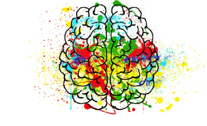 neuroeducación en las aulas