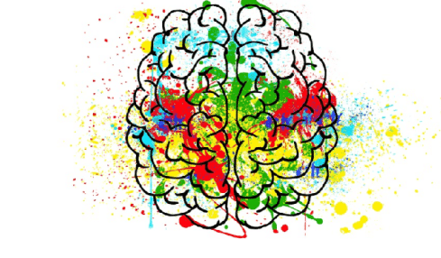 neuroeducación en las aulas