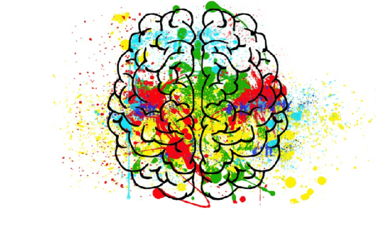 neuroeducación en las aulas