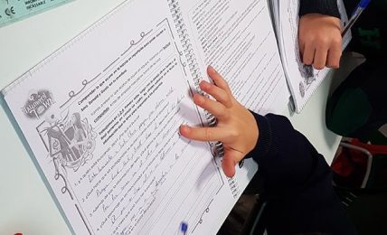 Competencias lingüísticas