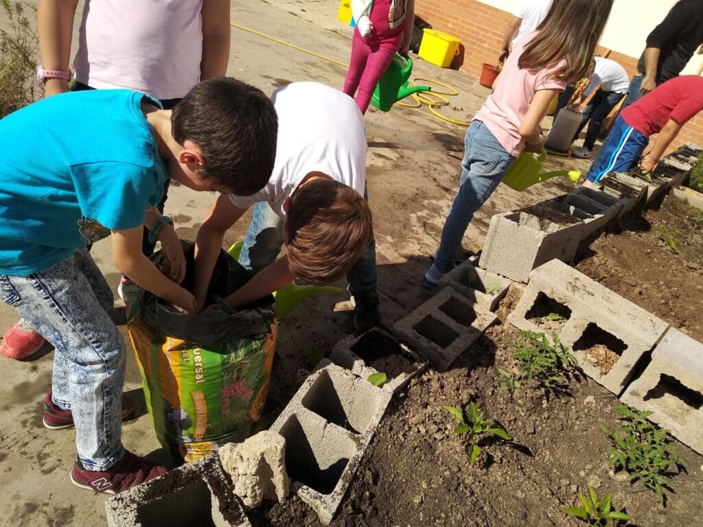 Cuidar Huerto Escuela Respeto Medioambiente