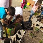 cuidar huerto escuela respeto medioambiente