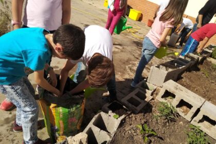 cuidar huerto escuela respeto medioambiente
