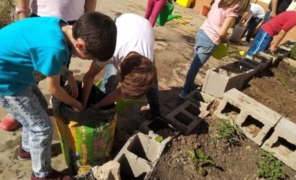 cuidar huerto escuela respeto medioambiente