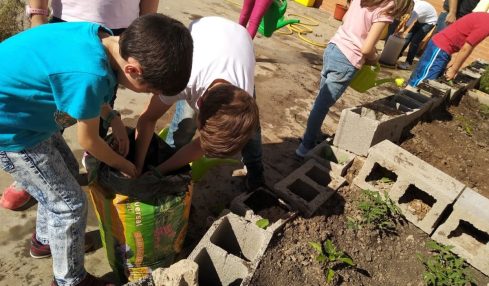 Cuidar Huerto Escuela Respeto Medioambiente