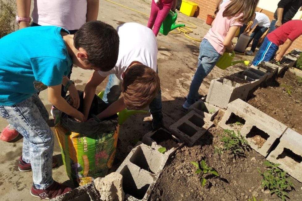 Cuidar Huerto Escuela Respeto Medioambiente