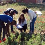 crear un parque agrícola