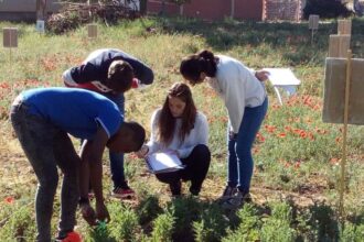 crear un parque agrícola