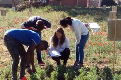 crear un parque agrícola