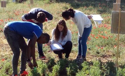 crear un parque agrícola