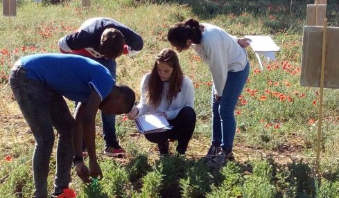 crear un parque agrícola