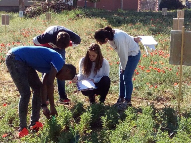 crear un parque agrícola