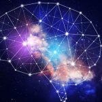 cropped neuroeducacion