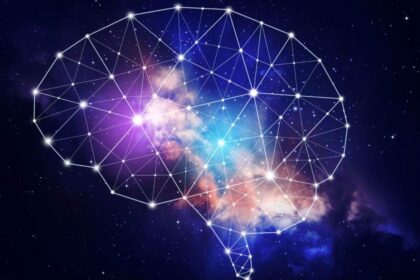 cropped neuroeducacion