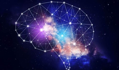cropped neuroeducacion
