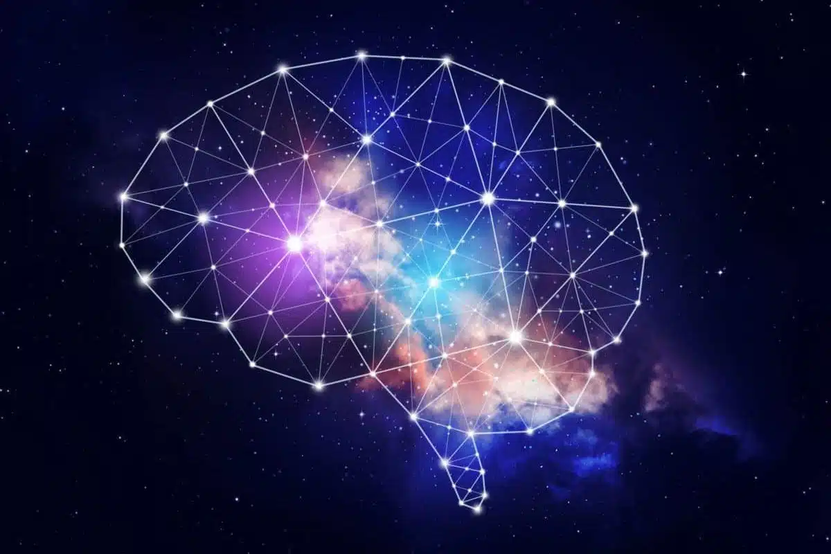 ¿Qué es la neuroeducación? Claves para entenderla e introducirla en el aula Qué es la neuroeducación