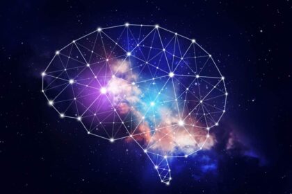 Qué es la neuroeducación