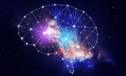 Qué es la neuroeducación