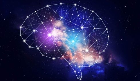 Qué es la neuroeducación