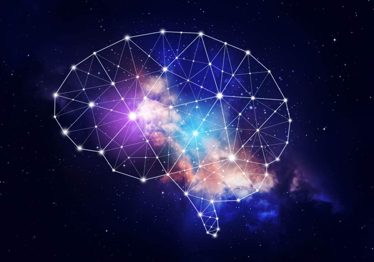 Qué es la neuroeducación