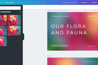 presentaciones colaborativas