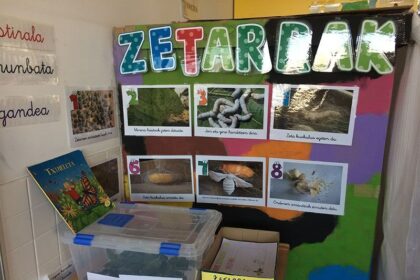 Gusanos de seda en clase