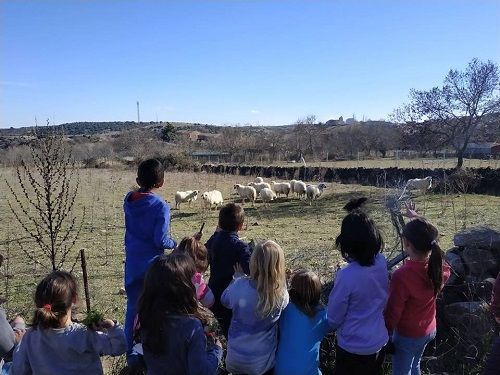 Creación De Aulas Internivelares