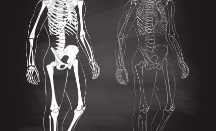 vídeos sobre el cuerpo humano