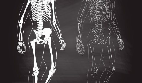 vídeos sobre el cuerpo humano
