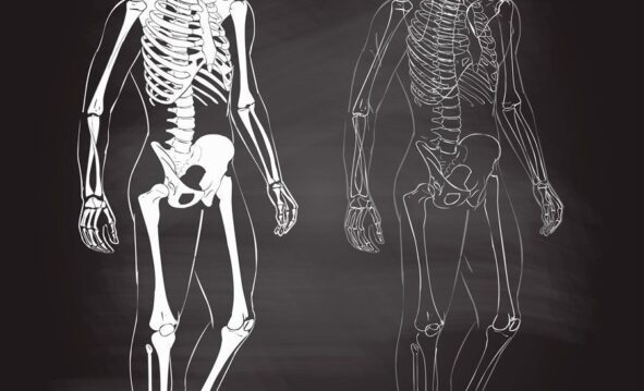 Vídeos Sobre El Cuerpo Humano