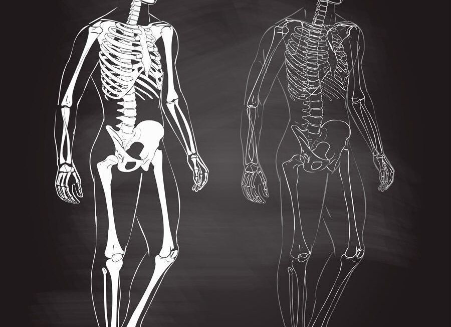 Vídeos Sobre El Cuerpo Humano