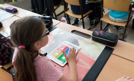 Femxa cursos