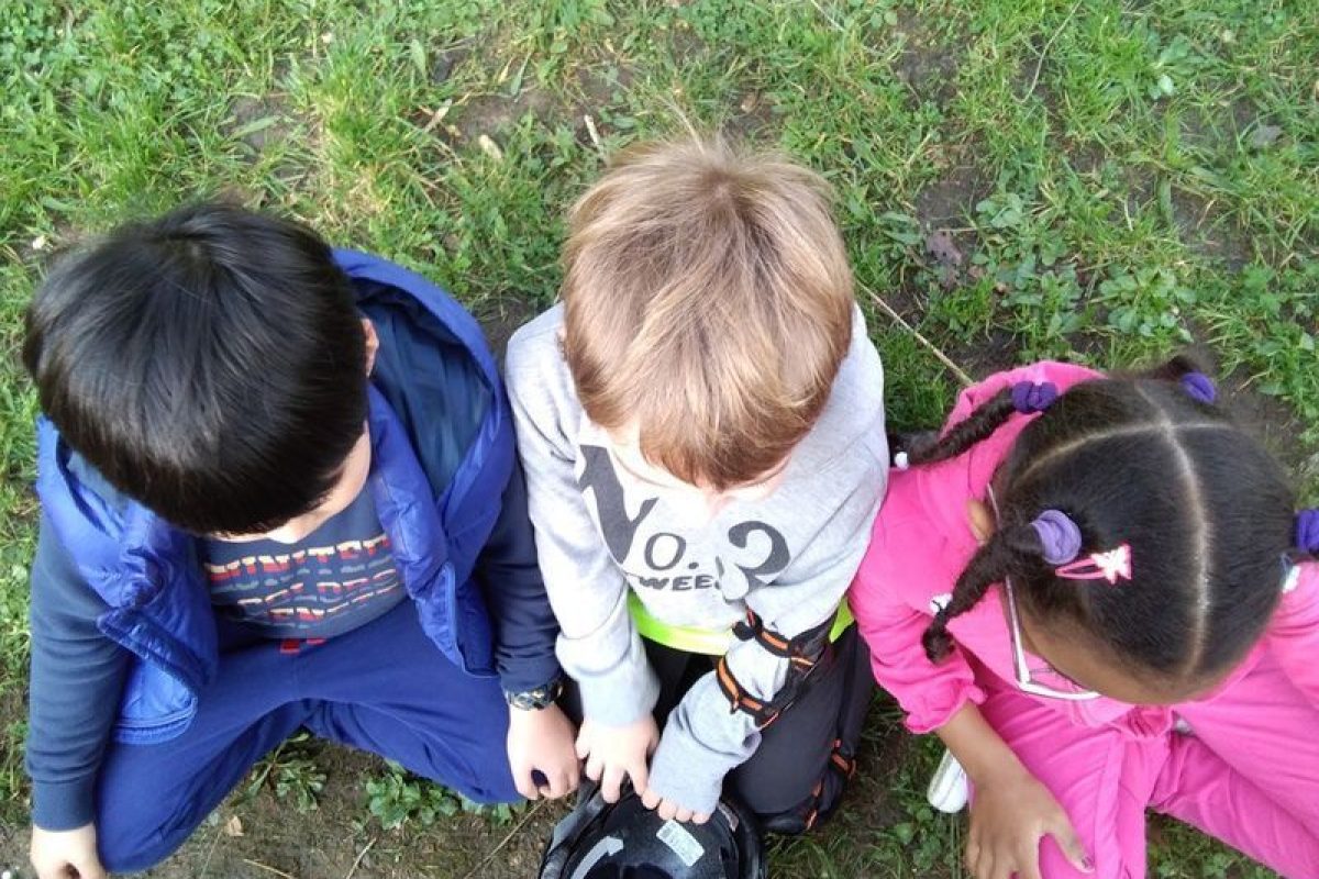 Educar en la empatía: un proyecto de investigación-acción para la inclusión social educar en la empatía