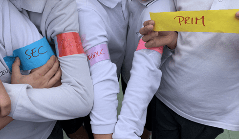 juego clásico para estudiar Ciencias