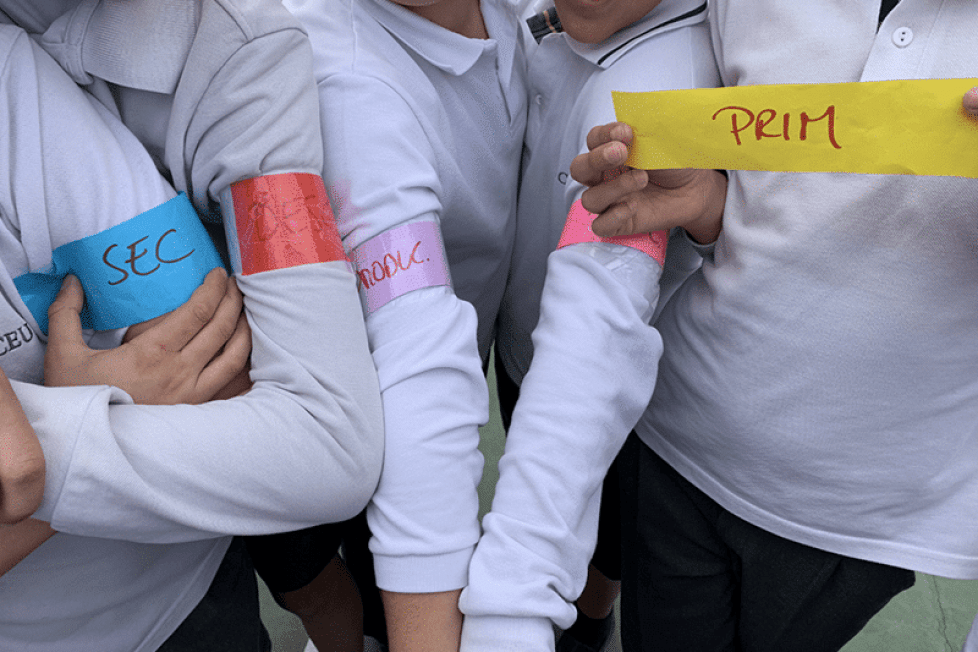 ‘Pilla-pilla trófico’, un juego clásico para estudiar Ciencias juego clásico para estudiar Ciencias