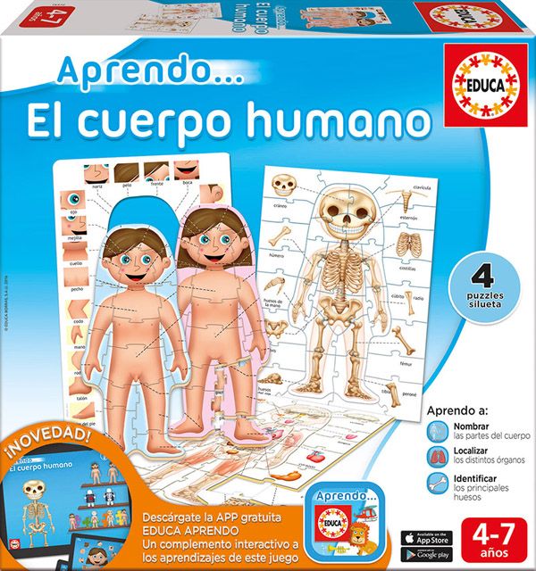 Juegos para conocer el cuerpo humano EDUCACIÓN 3.0