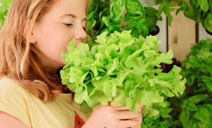 huertos escolares con Optimus Garden