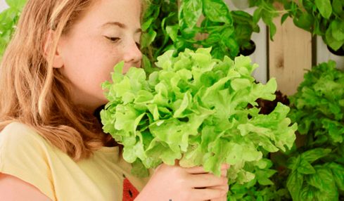 huertos escolares con Optimus Garden