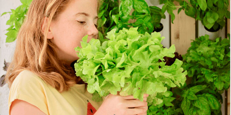 huertos escolares con Optimus Garden