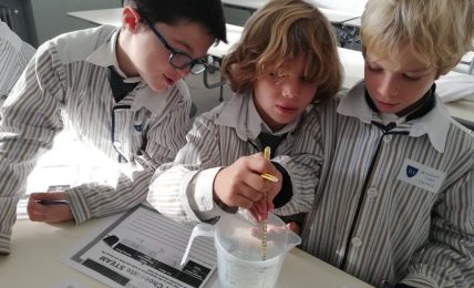 steam ERASMUS+
