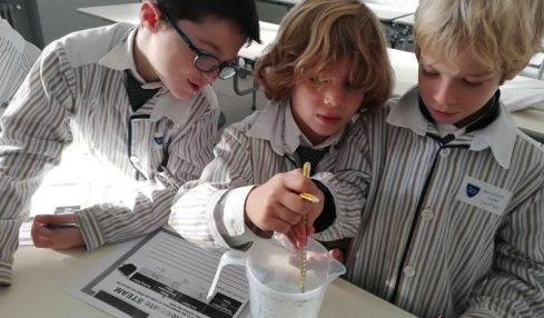 steam ERASMUS+