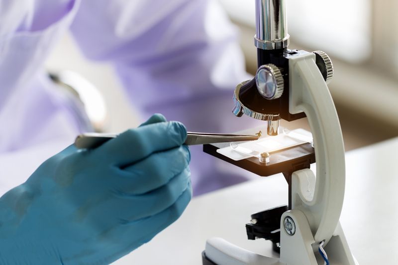 Ciencia en el barrio