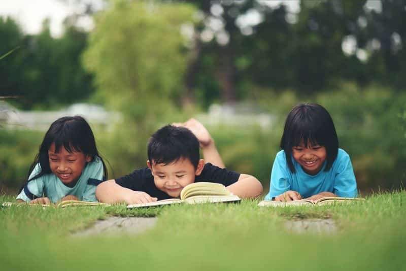 Actividades variadas verano vacaciones escolares