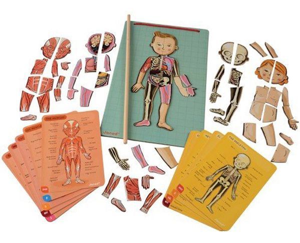 Conocer el cuerpo humano con juegos de mesa