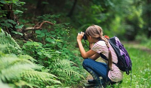 Naturaliza, El Programa Gratuito De Educación Ambiental Para Primaria