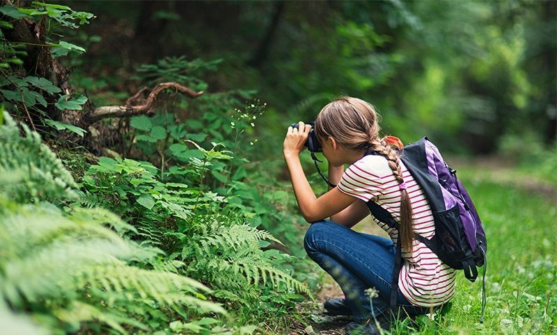 Naturaliza, El Programa Gratuito De Educación Ambiental Para Primaria