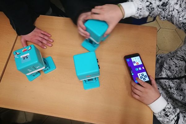 zowi compresión lectora inglés