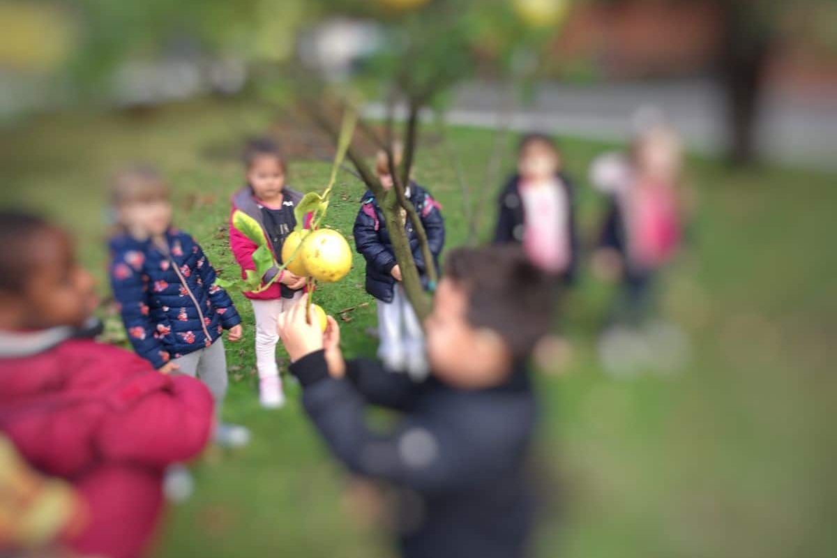 Hortus Cultus 3.0: un huerto escolar para acercar la naturaleza a los estudiantes Hortus Cultus