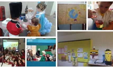 cropped experiencias innovadoras en clase de Ingles